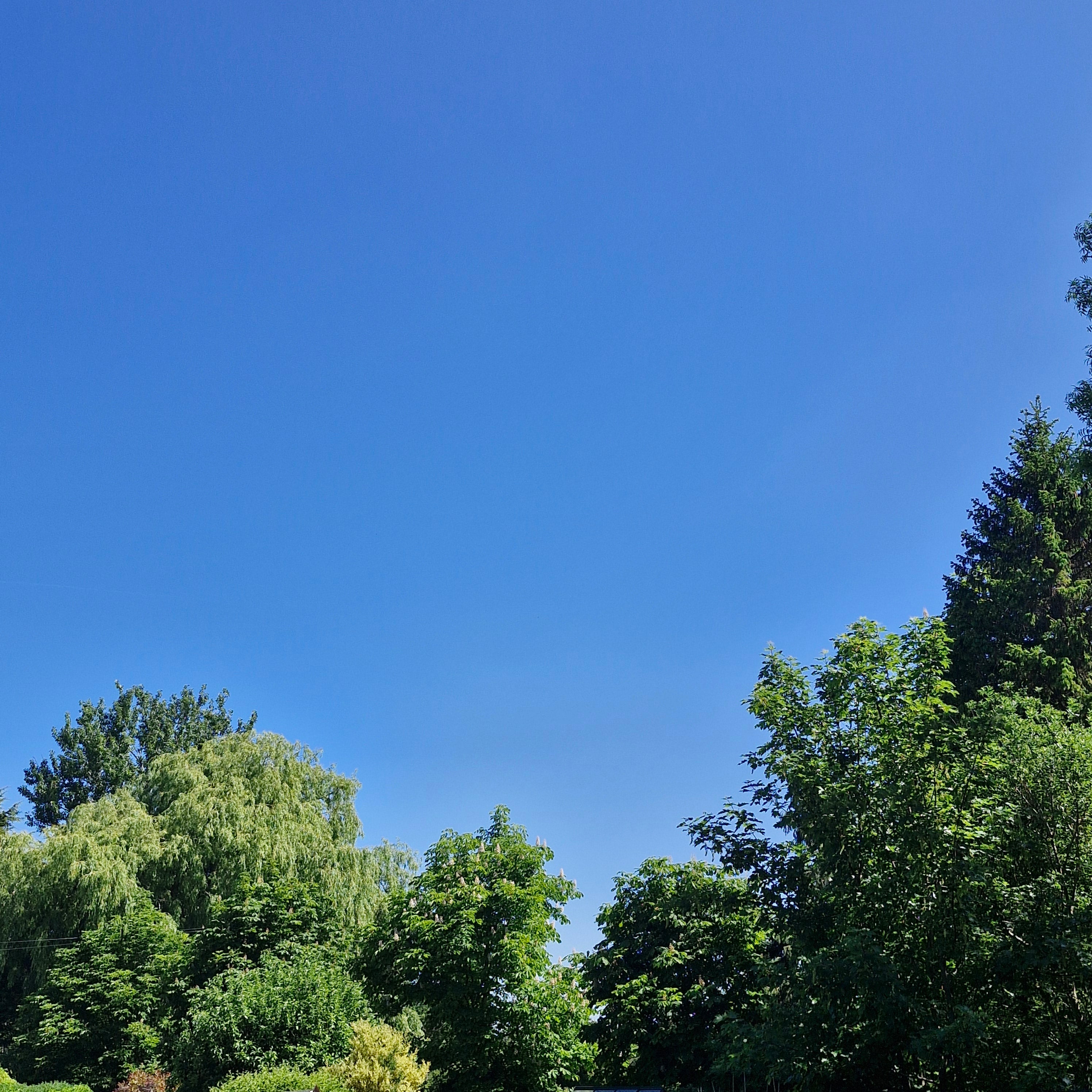 Wild Wednesday: What Would the Sky Smell Like?