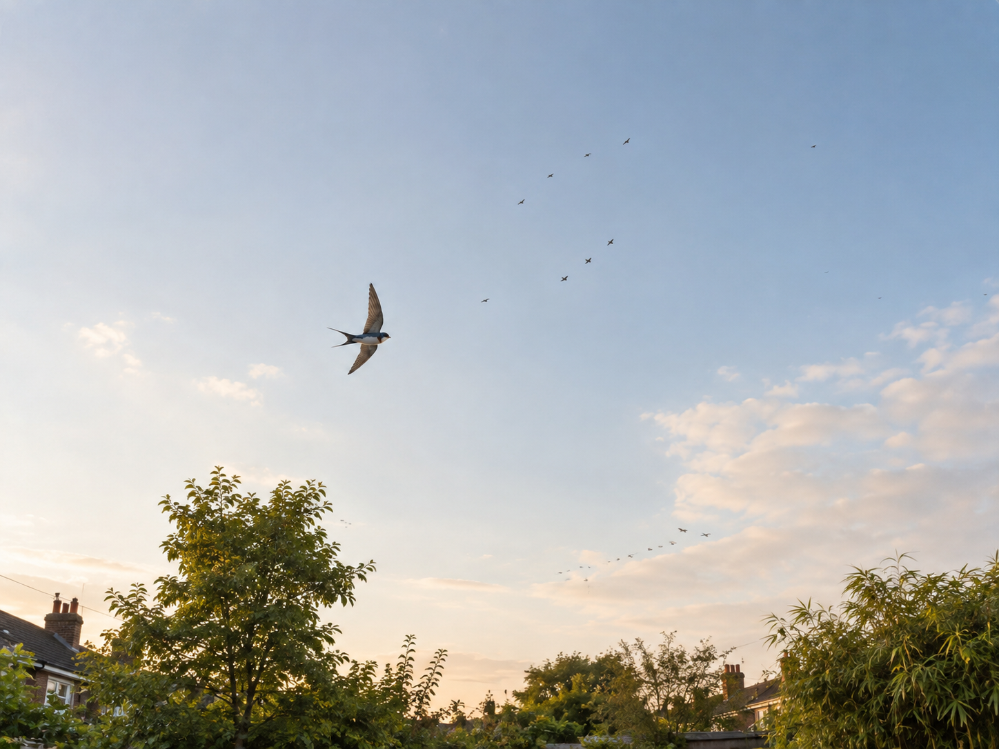 Wild Wednesday: How Can a Tiny Bird Find Its Way?