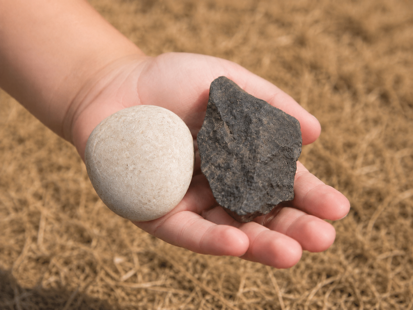 Wild Wednesday: Which Stone Do You Think Has Travelled the Furthest?