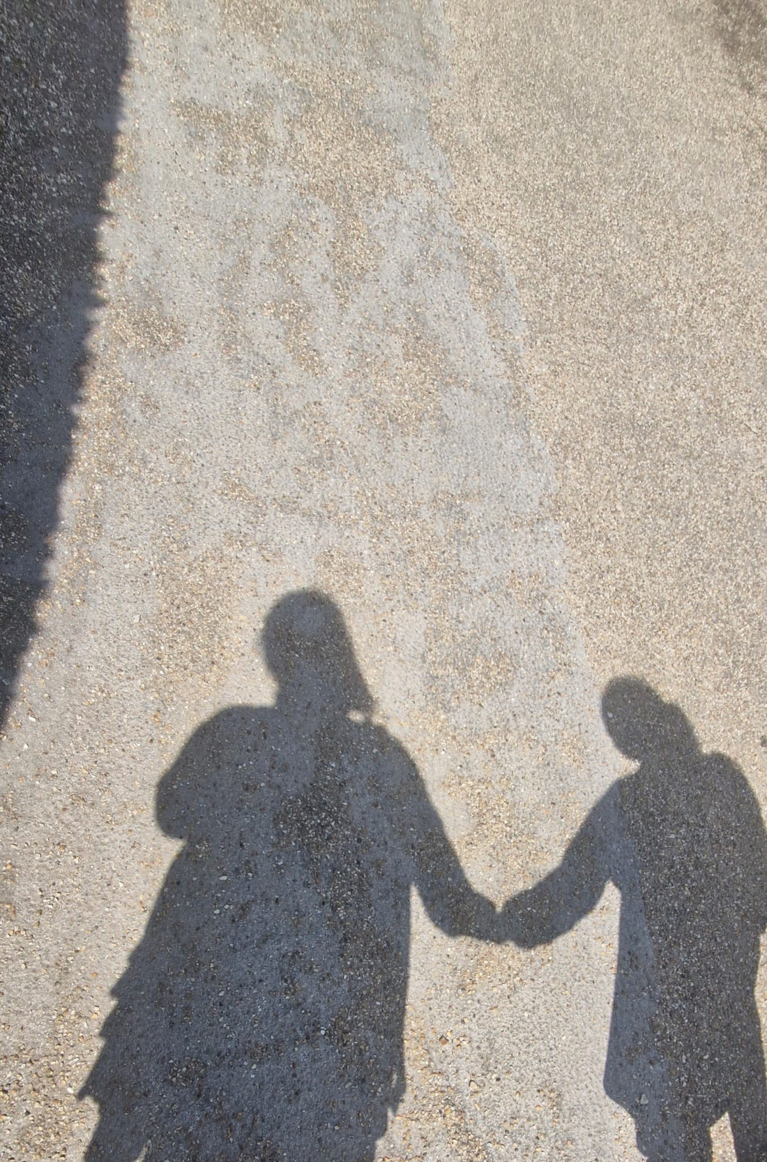 Wild Wednesday: What Does Your Shadow Notice Before You Do