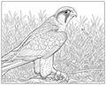 Bird of Prey 1 Detailed Colouring Page