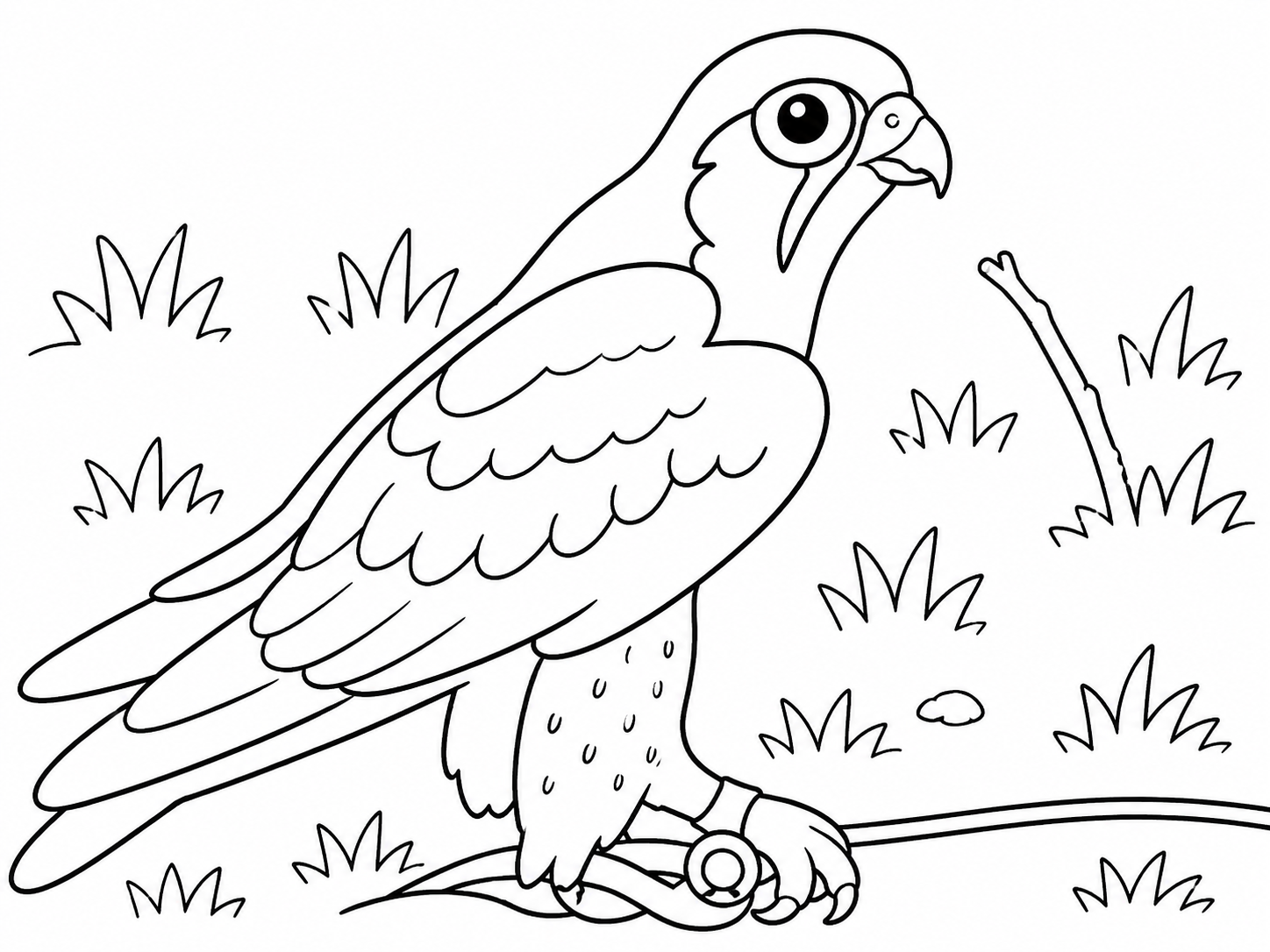 Bird of Prey 1 Easy Colouring Page