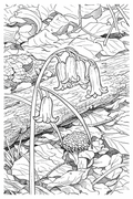 Bluebells Detailed Colouring Page