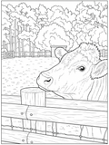 Cow by the Fence