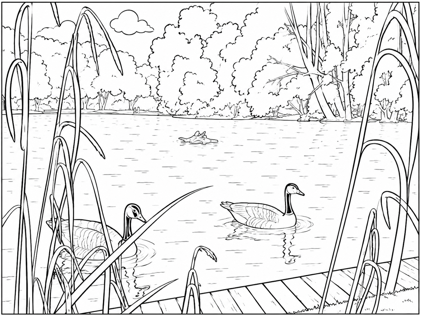 Geese amongst Reeds Detailed Colouring Page