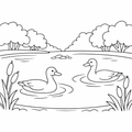 Geese amongst Reeds Easy Colouring Page