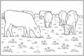 Cows Grazing
