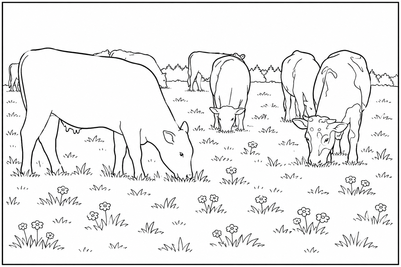 Cows Grazing