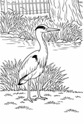 Heron Detailed Colouring Page