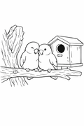 Lovebirds Easy Colouring Page