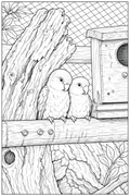 Lovebirds Detailed Colouring Page