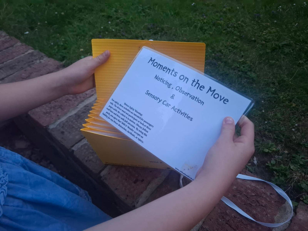 Moments on the Move — Car Journey Activity Pack