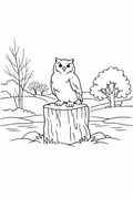 Owl Countryside Easy Colouring Page