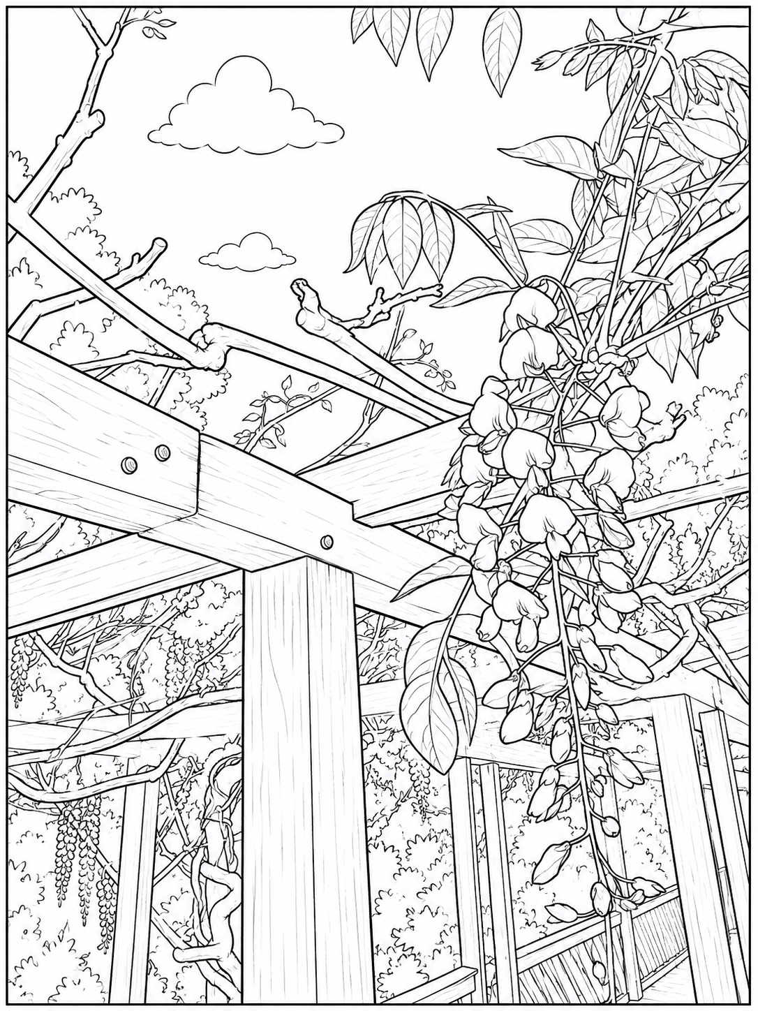 Pergola with Wisteria and Vines Detailed Colouring Page