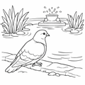 Pigeon by the Pond Easy Colouring Page