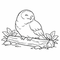Snowy Owl Easy Colouring Page