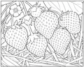 Strawberry Plant