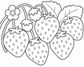 Strawberry Plant Easy Colouring Page