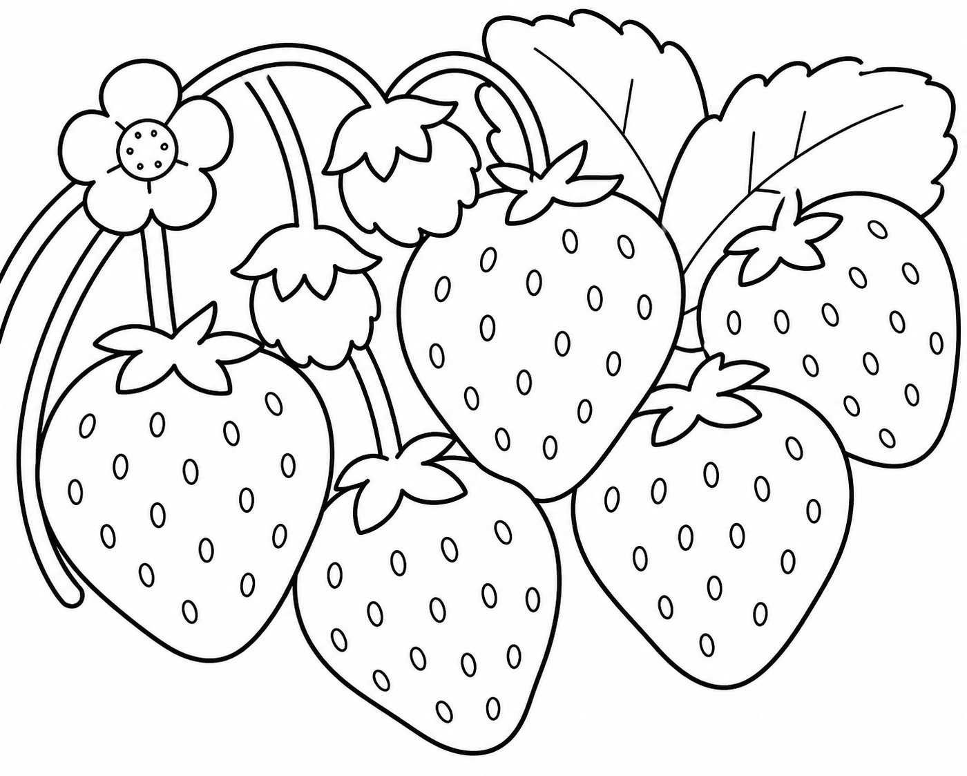 Strawberry Plant Easy Colouring Page