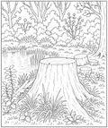 Woodland Pond with Tree Stumps Detailed Colouring Page
